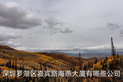 深圳市安寶星科技有限公司，深圳市豐浩達建筑工程造價咨詢有限公司我從這個公司出來這個鳥