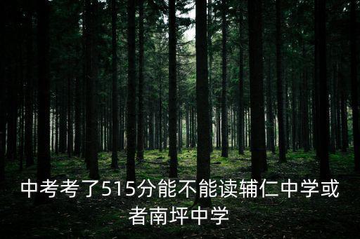 重慶市輔仁中學校錄取分數線，重慶輔仁中學2009分數線
