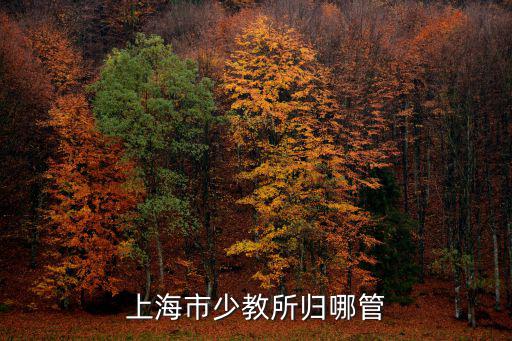 上海市少教所歸哪管
