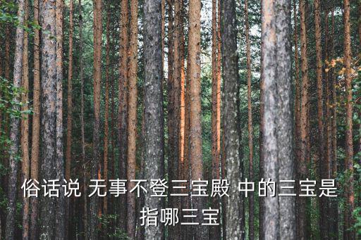 深圳財(cái)務(wù)熊三寶，杭州三寶和東北三寶分別是什么