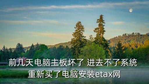 前幾天電腦主板壞了 進去不了系統 重新買了電腦安裝etax網