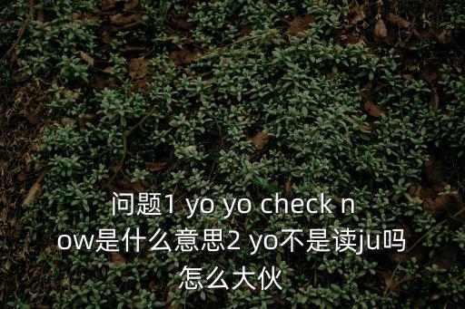 問題1 yo yo check now是什么意思2 yo不是讀ju嗎怎么大伙