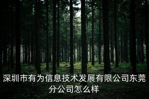 深圳市有為信息技術發展有限公司東莞分公司怎么樣