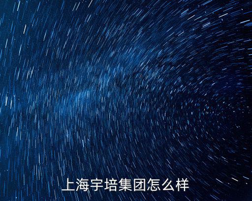 上海宇培集團怎么樣