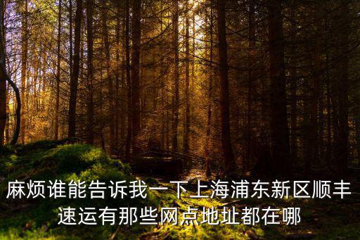 麻煩誰能告訴我一下上海浦東新區(qū)順豐速運有那些網點地址都在哪