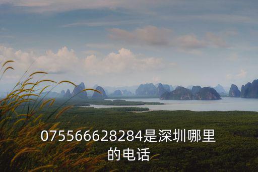 075566628284是深圳哪里的電話