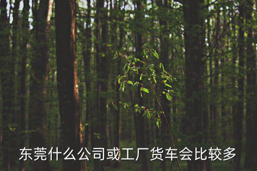 東莞什么公司或工廠貨車會(huì)比較多