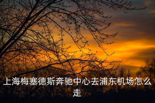 上海梅塞德斯奔馳中心去浦東機場怎么走