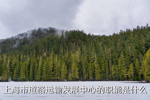 上海市道路運輸發展中心的職能是什么