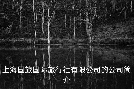上海市職工國旅，我是上海的 搜索到的結果 有春秋國旅 上海國旅 中國國旅 錦江國旅