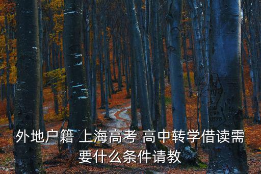 外地戶籍 上海高考 高中轉(zhuǎn)學(xué)借讀需要什么條件請教