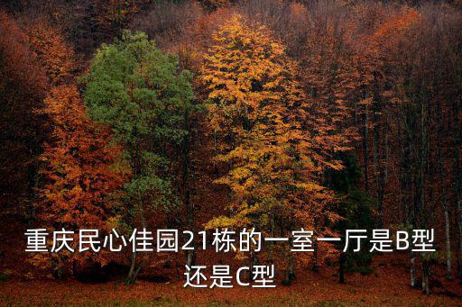 重慶民心佳園21棟的一室一廳是B型還是C型
