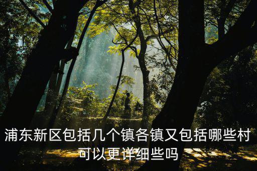 浦東新區包括幾個鎮各鎮又包括哪些村可以更詳細些嗎