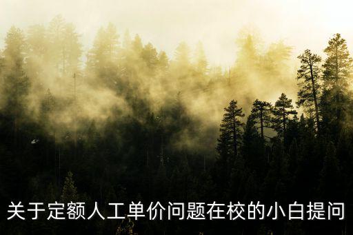重慶市定額人才機單價，重慶市目前的人工單價到底是多少啊