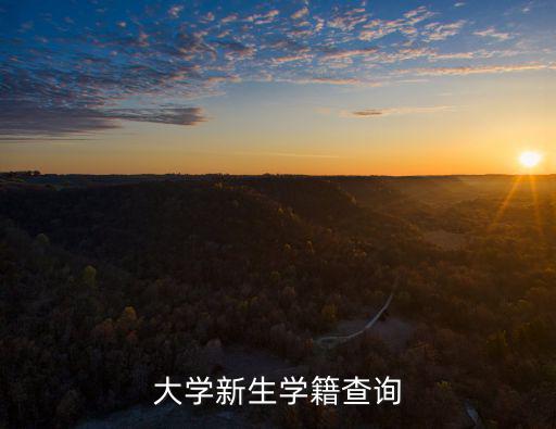 廣州大學新生查詢網，廣州大學招生辦的網址是什么