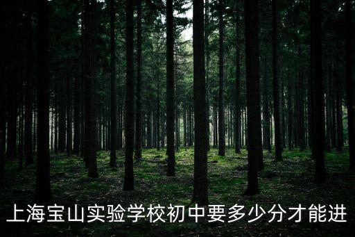 上海寶山實(shí)驗(yàn)學(xué)校初中要多少分才能進(jìn)