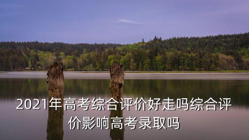 上海市綜合評價難不難，上海高考綜合評價初審容易過嗎