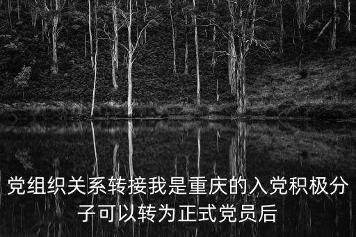 黨組織關(guān)系轉(zhuǎn)接我是重慶的入黨積極分子可以轉(zhuǎn)為正式黨員后