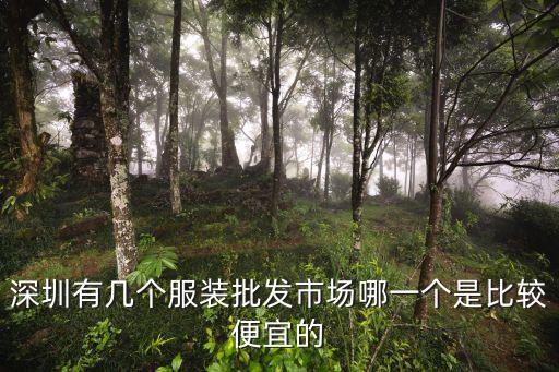 深圳有幾個服裝批發市場哪一個是比較便宜的