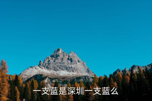 深圳 藍(lán)，深圳藍(lán)普科技有限公司有軌道燈可以買嗎