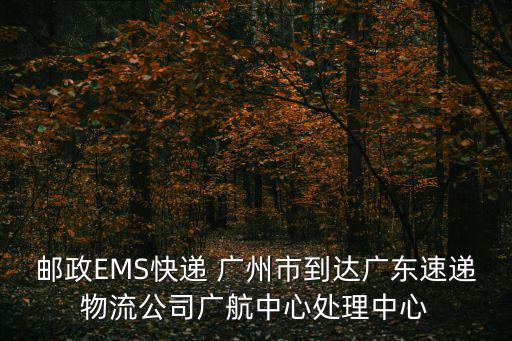 郵政EMS快遞 廣州市到達廣東速遞物流公司廣航中心處理中心
