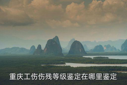 重慶市南岸區工傷認定科，重慶南岸工傷鑒定在那地
