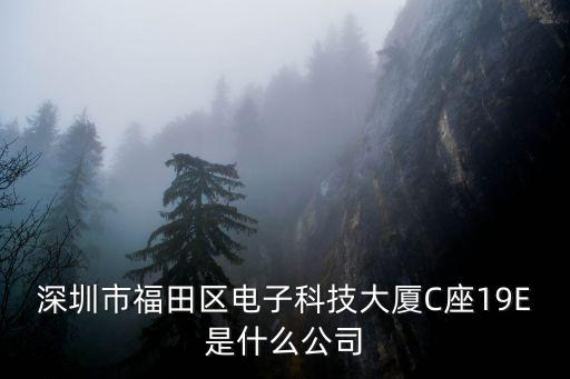 深圳市福田區(qū)電子科技大廈C座19E是什么公司