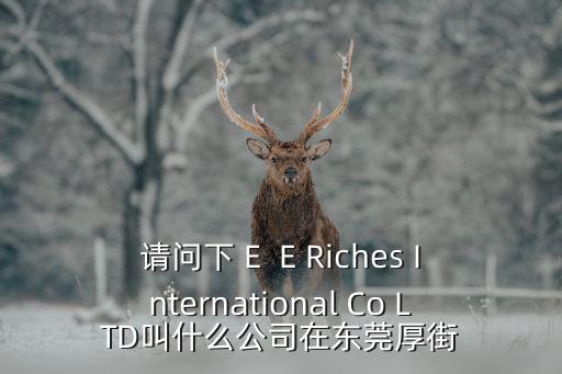 請問下 E  E Riches International Co LTD叫什么公司在東莞厚街