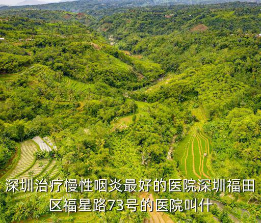 深圳蒂梵韻，深圳治療慢性咽炎最好的醫院深圳福田區福星路73號的醫院叫什