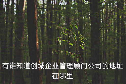 有誰知道創(chuàng)域企業(yè)管理顧問公司的地址在哪里