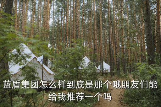藍盾集團怎么樣到底是那個哦朋友們能給我推薦一個嗎