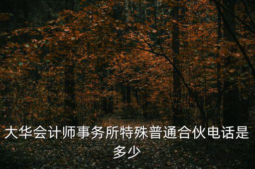 大華會計師事務所特殊普通合伙電話是多少
