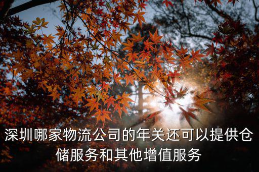 深圳哪家物流公司的年關(guān)還可以提供倉儲服務(wù)和其他增值服務(wù)