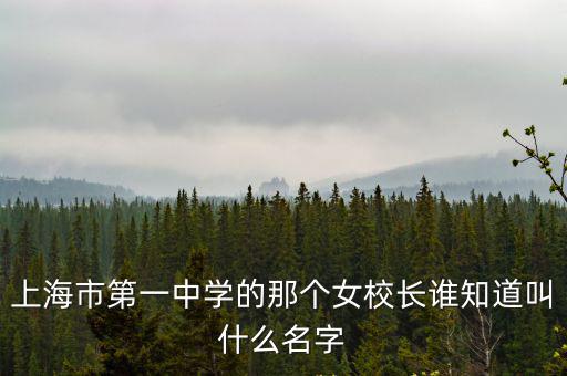 上海市一中學副校長，上海市第一中學的那個女校長誰知道叫什么名字