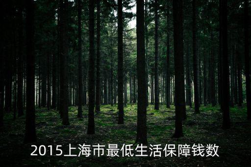 2015上海市最低生活保障錢數