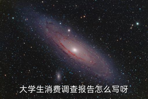 大學生消費調查報告怎么寫呀