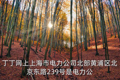 丁丁網上上海市電力公司北部黃浦區北京東路239號是電力公