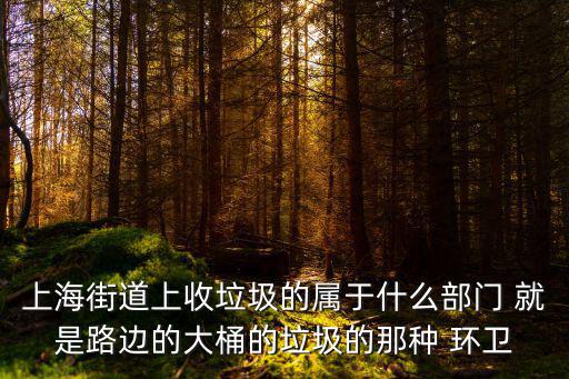 上海街道上收垃圾的屬于什么部門 就是路邊的大桶的垃圾的那種 環衛