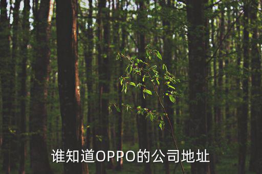 誰(shuí)知道OPPO的公司地址