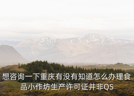 想咨詢一下重慶有沒有知道怎么辦理食品小作坊生產許可證并非QS