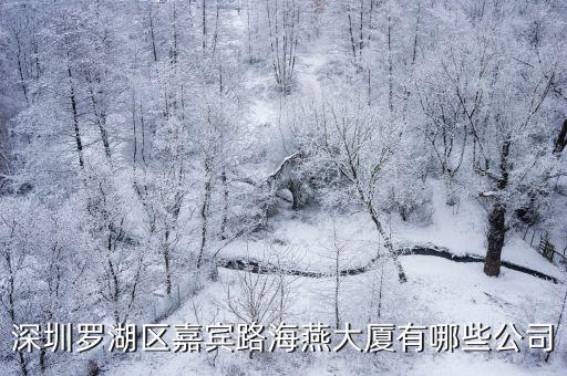 深圳羅湖區嘉賓路海燕大廈有哪些公司