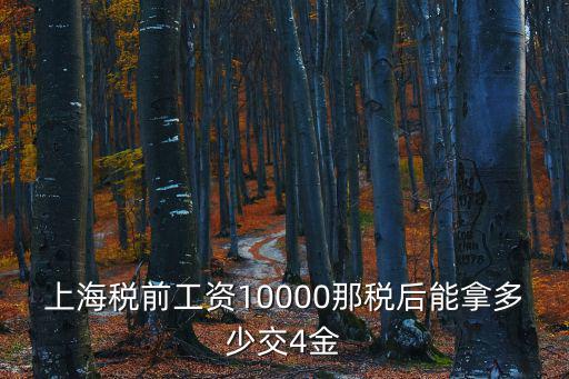 上海市10000工資扣稅，上海稅前工資10000那稅后能拿多少交4金