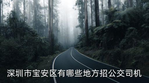 深圳市寶安區(qū)有哪些地方招公交司機(jī)