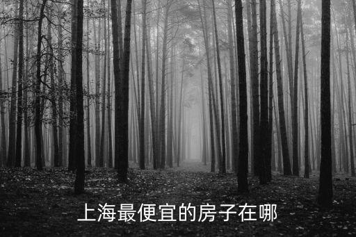上海最便宜的房子在哪