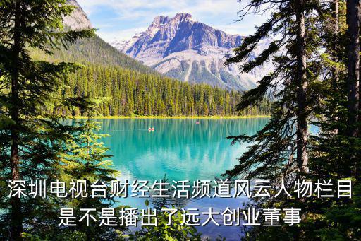 深圳電視臺財經生活頻道風云人物欄目是不是播出了遠大創業董事