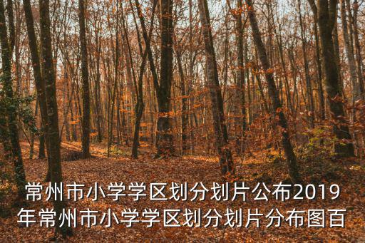常州市小學學區劃分劃片公布2019年常州市小學學區劃分劃片分布圖百