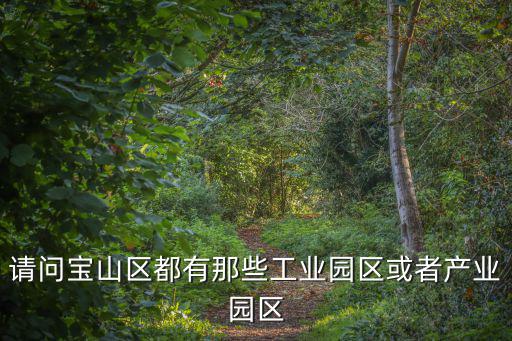 請問寶山區都有那些工業園區或者產業園區
