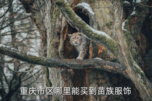 重慶市區(qū)哪里能買到苗族服飾