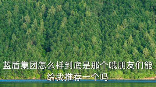 深圳藍(lán)盾鴻輝，藍(lán)盾在線ld6299安全可靠的公司