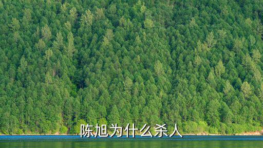 陳旭為什么殺人